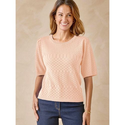 Pull Pull maille encolure ronde - Daxon - Modalova