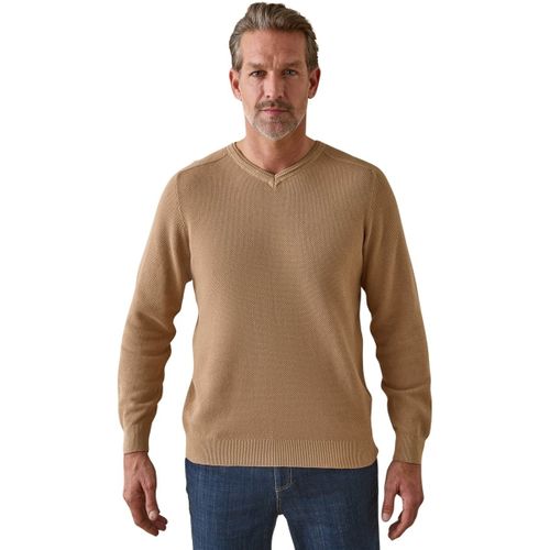 Pull Daxon Pull col V pur coton - Daxon - Modalova