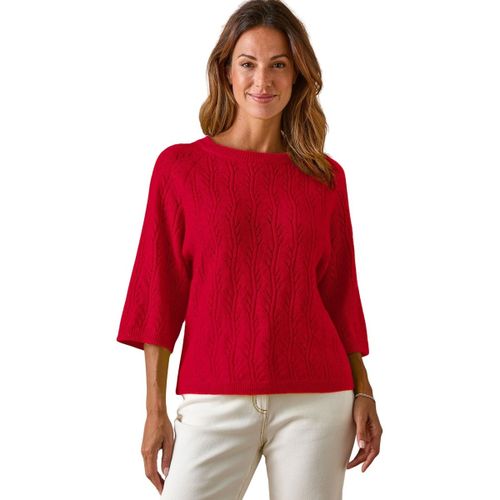 Pull Pull manches au coude 5% laine - Daxon - Modalova