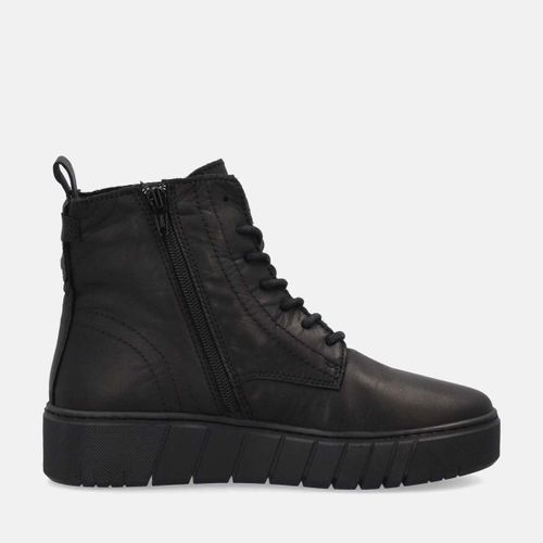 Bottines Creator - Creator - Modalova