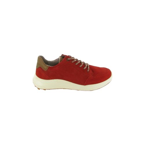 Baskets Ara 27101 BERGEN - Ara - Modalova