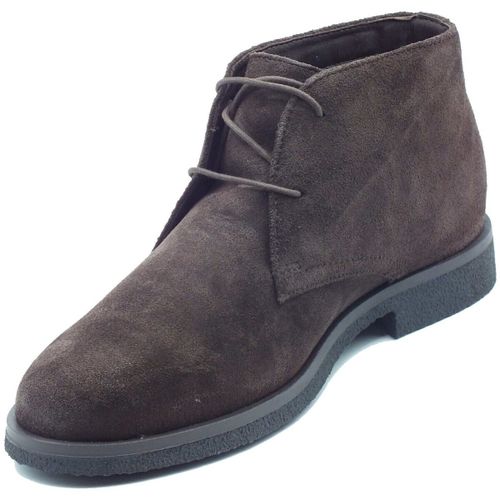 Bottines U6658D Claudio Man Chocolate - Geox - Modalova