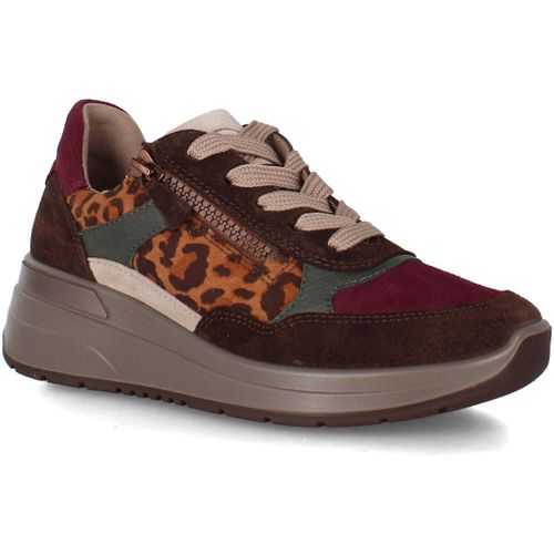 Baskets basses Ara 1257702 - Ara - Modalova
