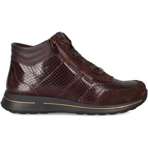 Bottines Ara 1224808 - Ara - Modalova