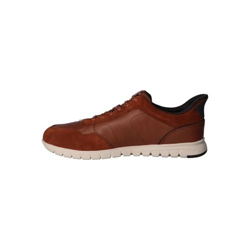 Chaussures U66NEA 0BC22 U FLEXTRIDEZERO PLUS - Geox - Modalova