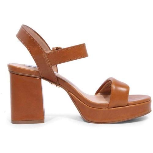 Sandales Steve Madden - Steve Madden - Modalova