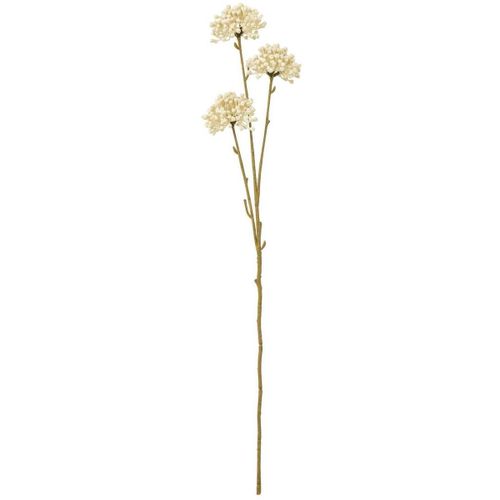 Plantes artificielles HI4861 - Hill Interiors - Modalova