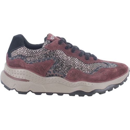 Baskets basses IgI&CO 2176133 - IgI&CO - Modalova