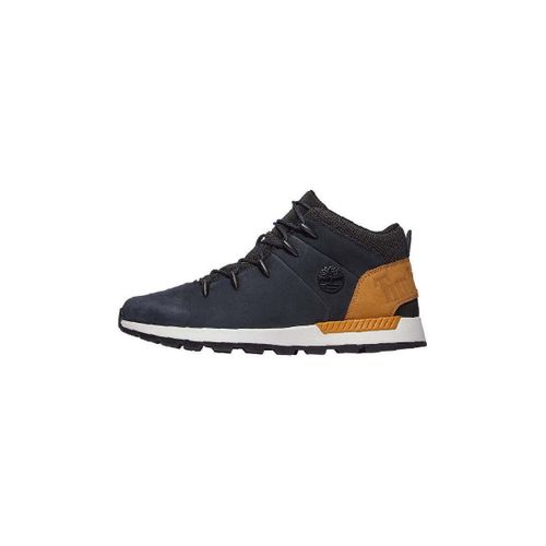 Baskets basses Basket SPRINT - Timberland - Modalova