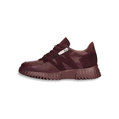Baskets Wonders A-4424-VINO - Wonders - Modalova