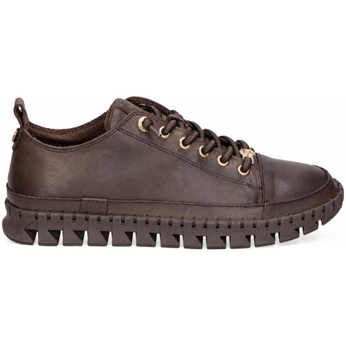 Baskets basses 162531 marron - Carmela - Modalova