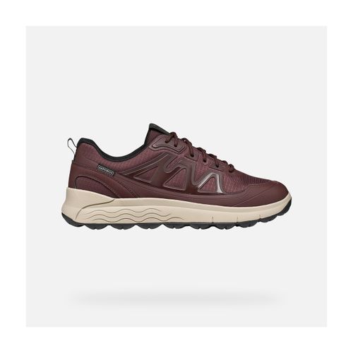 Baskets Geox U SPHERICA 4X4 B ABX - Geox - Modalova
