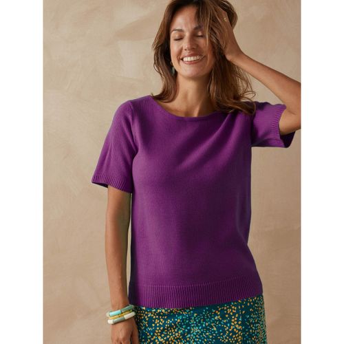 Pull Pull encolure ronde manches courtes - Daxon - Modalova