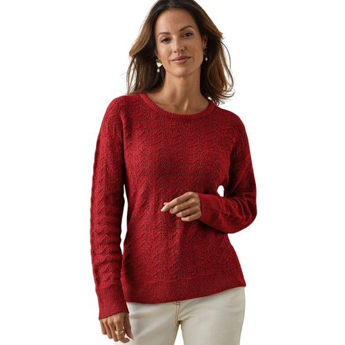Pull Daxon Pull col rond - Daxon - Modalova
