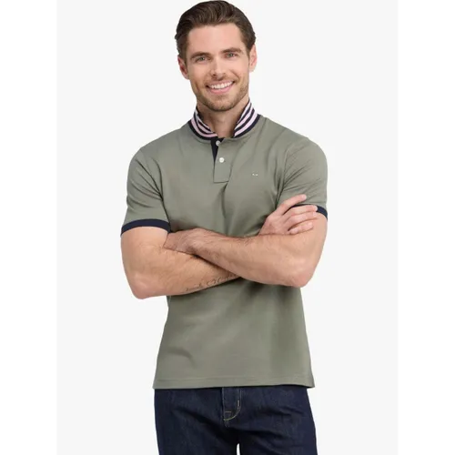 T-shirt Polo kaki en coton - Eden Park - Modalova