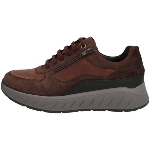 Baskets Solidus Ken - Solidus - Modalova
