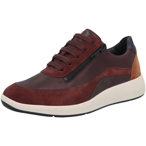 Slip ons Solidus Kalea - Solidus - Modalova