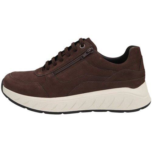 Baskets Solidus Ken - Solidus - Modalova