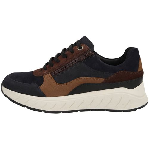 Baskets Solidus Ken - Solidus - Modalova