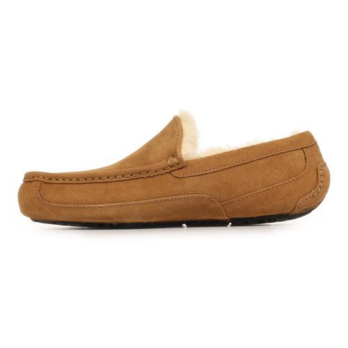 Chaussons UGG Ascot - UGG - Modalova