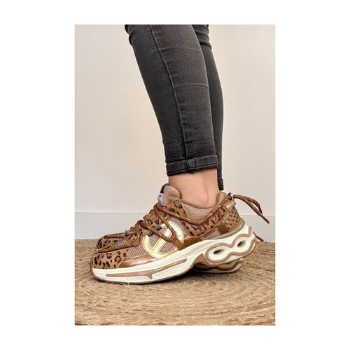 Baskets - Sneakers WILLO RUNNER Leopard - No Name - Modalova