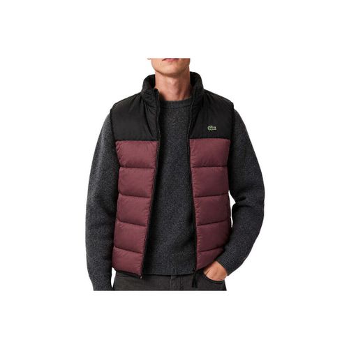 Doudounes sans manches - Lacoste - Modalova