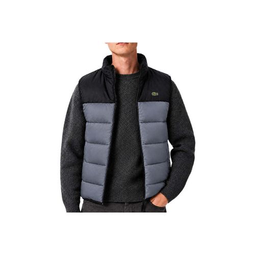 Doudounes sans manches - Lacoste - Modalova