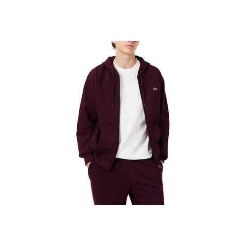 Sweat-shirt Lacoste hirt Homme - Lacoste - Modalova