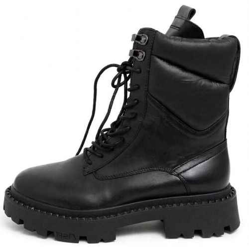 Bottes Ash - Ash - Modalova
