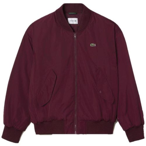 Blouson Lacoste GT54261 - Lacoste - Modalova