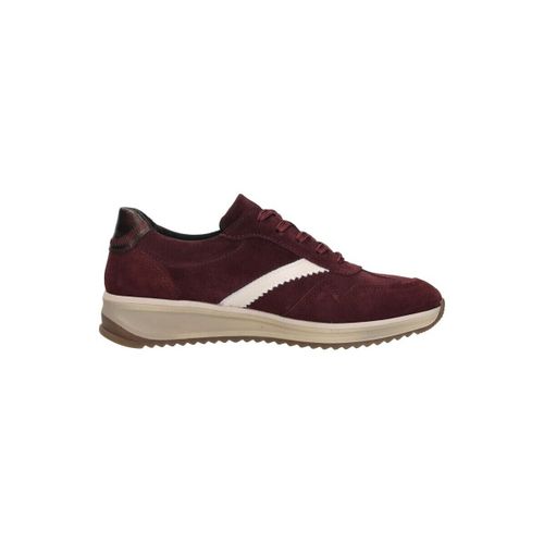 Derbies Amber 01 - Sub55 Comfort Collection - Modalova
