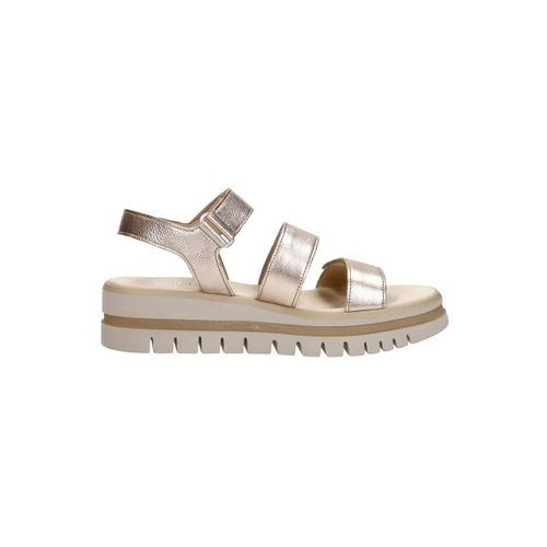 Sandales Gabor Sandalen Plat - Gabor - Modalova
