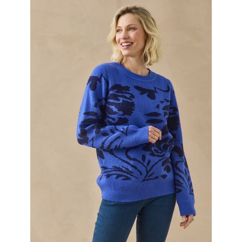 Pull Daxon Pull jacquard col rond - Daxon - Modalova