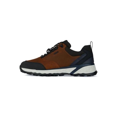 Chaussures U36F0C 00035 U STERRATO - Geox - Modalova
