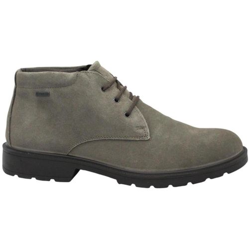 Boots IgI&CO IGI-I26-2108244-FA - IgI&CO - Modalova
