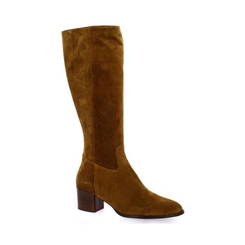 Bottes Maroli Bottes cuir velours - Maroli - Modalova