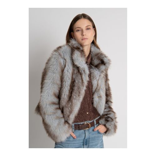 Blouson Fracomina FR26WC4003O44501 - Fracomina - Modalova
