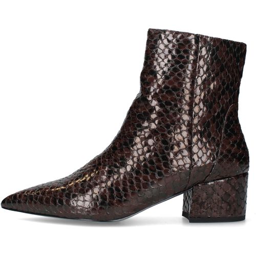 Bottines Luciano Barachini BL336 - Luciano Barachini - Modalova