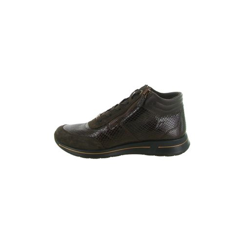 Bottines Ara 24808 OSAKA - Ara - Modalova