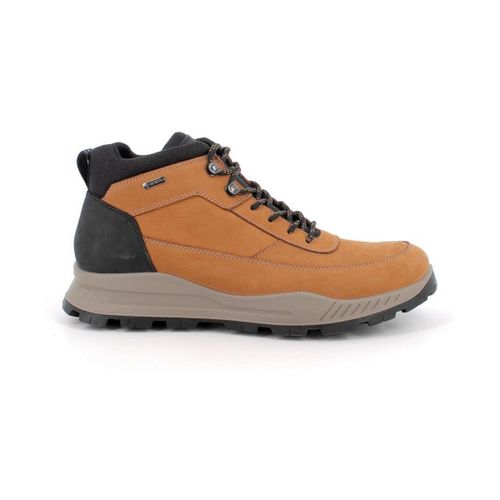 Bottines IgI&CO 2129122 - IgI&CO - Modalova