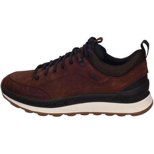 Baskets basses Geox - Geox - Modalova