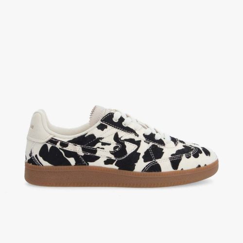 Baskets basses Sheffield Jogger - Noir - Schmoove - Modalova