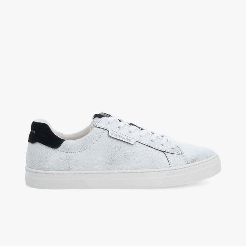 Baskets basses Sparkle Sneaker - Noir - Schmoove - Modalova