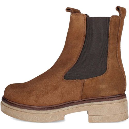 Bottines Patricia Miller 6905 - Patricia Miller - Modalova