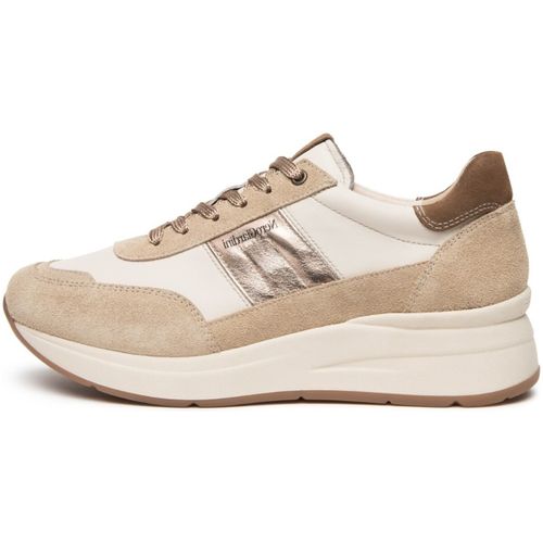 Baskets Velour Velvet Milk 1039 Lunare Tortora Velour Malt - NeroGiardini - Modalova
