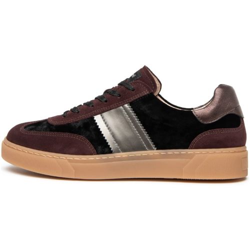 Baskets basses Velourinnesota 106 T.Brill Antracite Etoile - NeroGiardini - Modalova