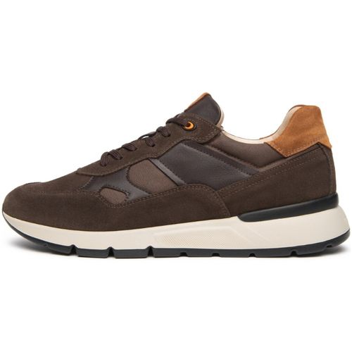 Baskets Arold Colo T.Wax Gots Savana Brown Velour Taba - NeroGiardini - Modalova