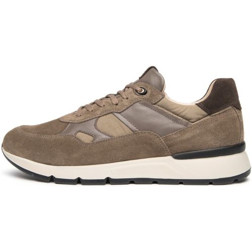 Baskets Arold Colo T.Zoro Sauvage Taupe Arold Colo - NeroGiardini - Modalova