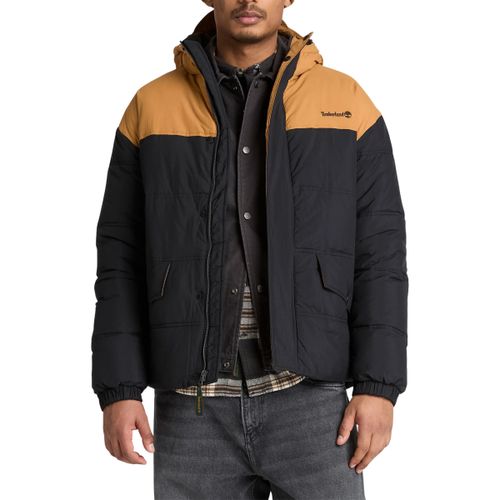 Veste Timberland TBC0YH71P561 - Timberland - Modalova