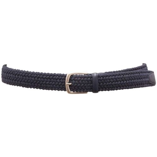 Ceinture Orciani - Orciani - Modalova